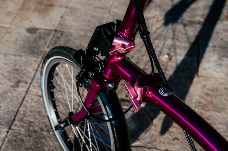 pink 3.jpg