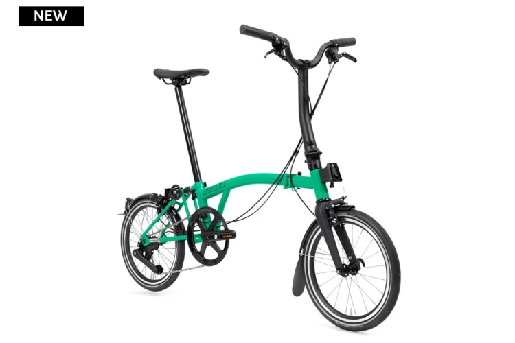 Palm green poza.jpg