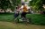 Q103110_1__09460.jpg