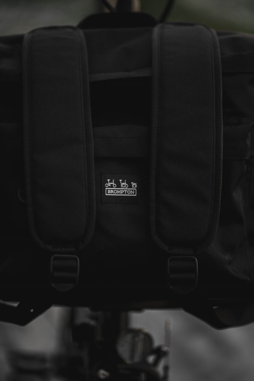 24.09.25_002 (2x3).jpg